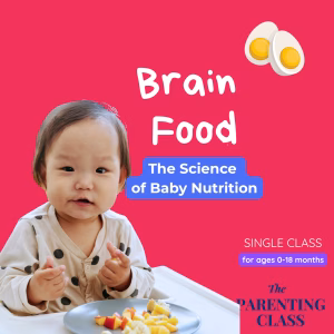 Brain Food - The Science of Baby Nutrition