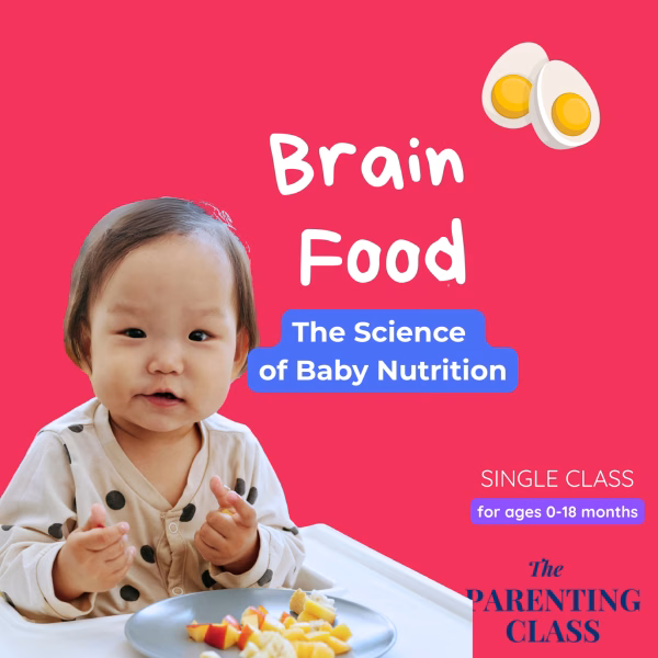 Brain Food - The Science of Baby Nutrition