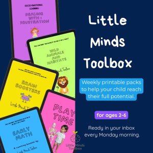Little Minds Toolbox